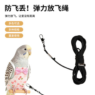 �羳���R�d�W�^�w���K���Lĵ������������B�����������w�K�B���