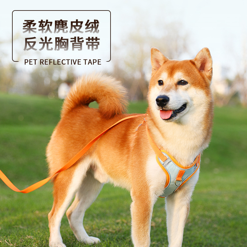 Gato mascota Correa correa de perro gato correa de gato perro correa de pecho correa de perro chaleco estilo anti-rotura