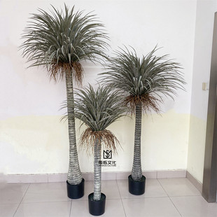 �¿���ͷ���٘���Ѫ������Ħ��������mǧ��ľ�҃ȾGֲ�辰�[��