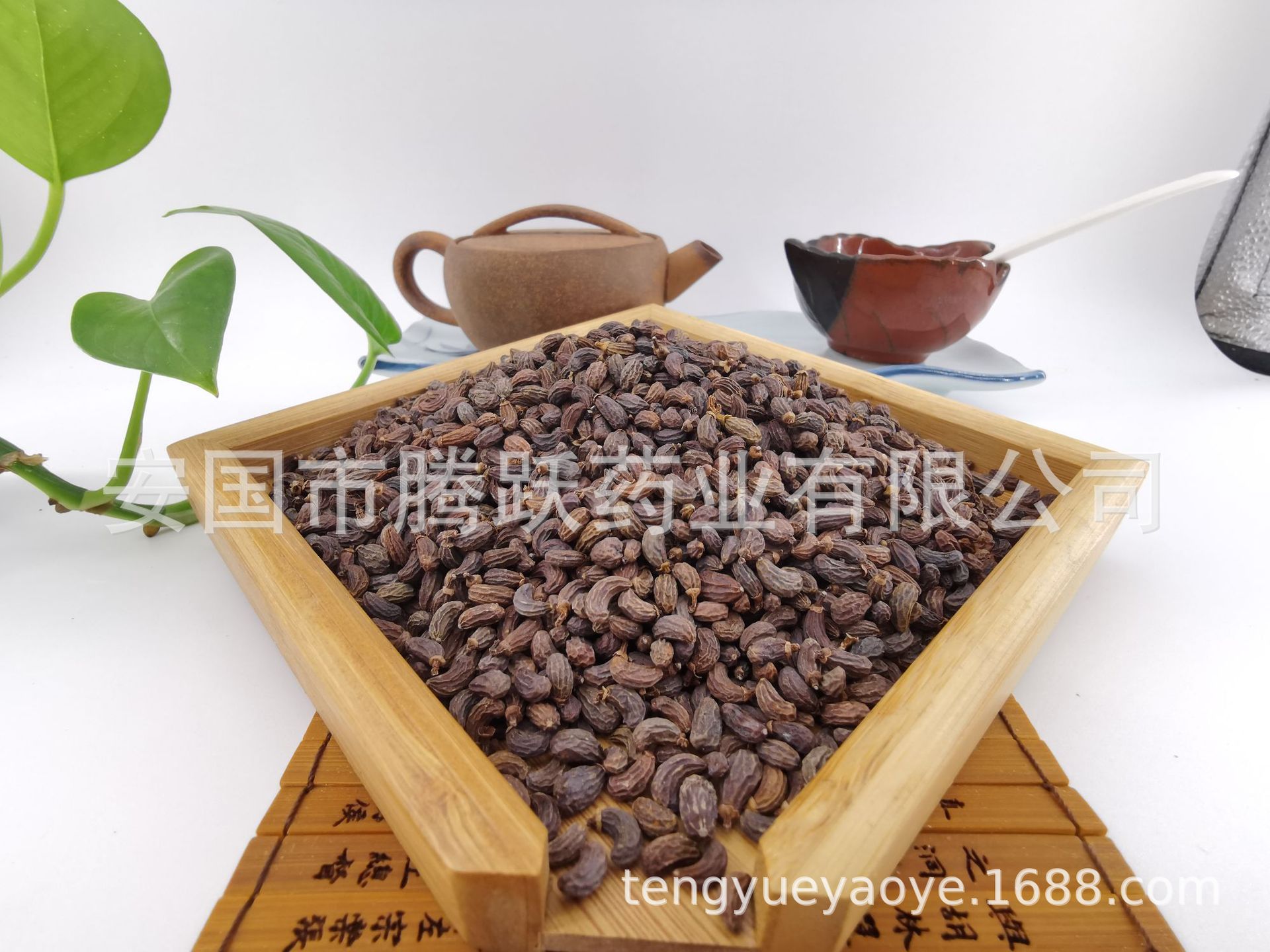 Dried Ligustrum Fruit Nuzhenzi Whole Seeds 500g Traditional Chinese Herb for Decoction and Tea key features