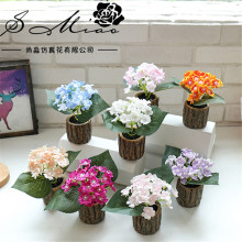 �ٻ�С����ľ���辰���[��ֲ�����Ի��Gֲ�������辰�����߷���