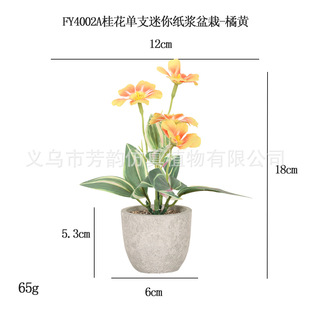 �F؛С�����㼈�{���Կ羳����С�[�����컨�辰���ϻ��ٻ��S��