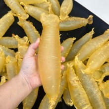 湛江赤嘴鳘鱼胶 赤嘴筒 赤嘴胶花胶筒 老货收藏送礼自用