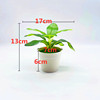 Realistic flowerpot, small pot, jewelry, new collection, suitable for import, wholesale