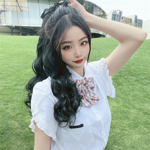 Wholesale factory-direct European and American-style double ponytail wigs—long, curly, breathable micro-ring clip-in extensions with braided designs