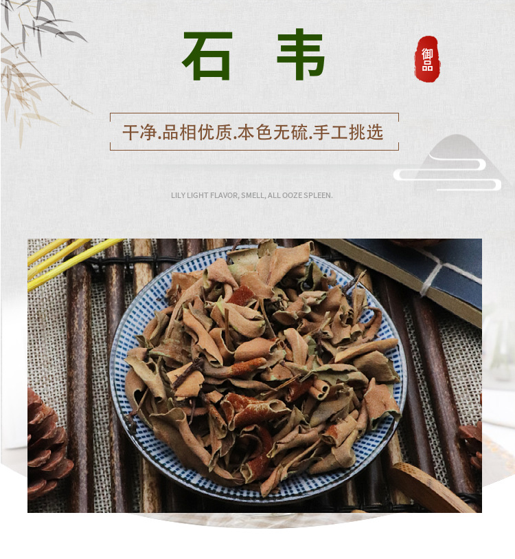 Dried Pyrrosia Leaf Shi Wei 石韦 Loose Herbal Tea Leaves 500g Traditional Chinese Herb overview