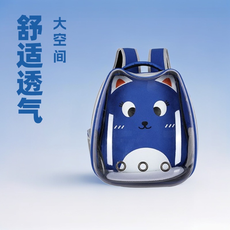 capacious space cartoon backpack