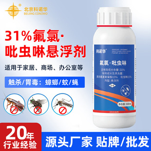 31%�������x�����x��500ml����������뚢�x����󯇊�F�����ș