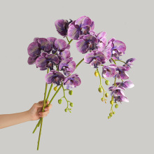 ���滨�͹��L8�^�ѻ������m ���û�c��Y���ܼٻ��ҾӲ����[��