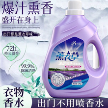 ޹�²�ϴ��Һ��ͥƿ�b2kg��ζ �S�����lȥ����ӝ���ϴ��Һ
