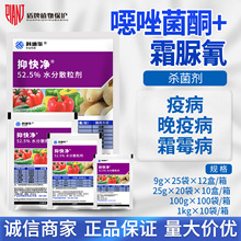 美国杜邦 抑快净 噁唑菌酮霜脲氰黄瓜晚疫病霜霉病农药杀菌剂9g