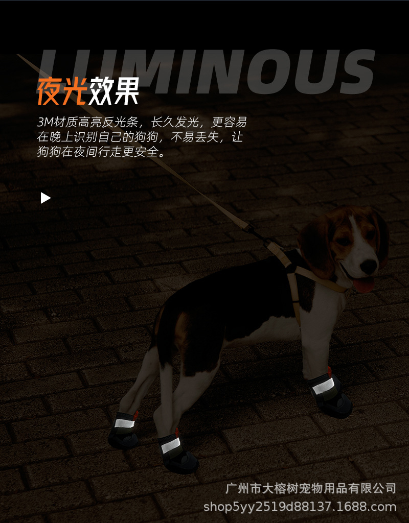 xq_06