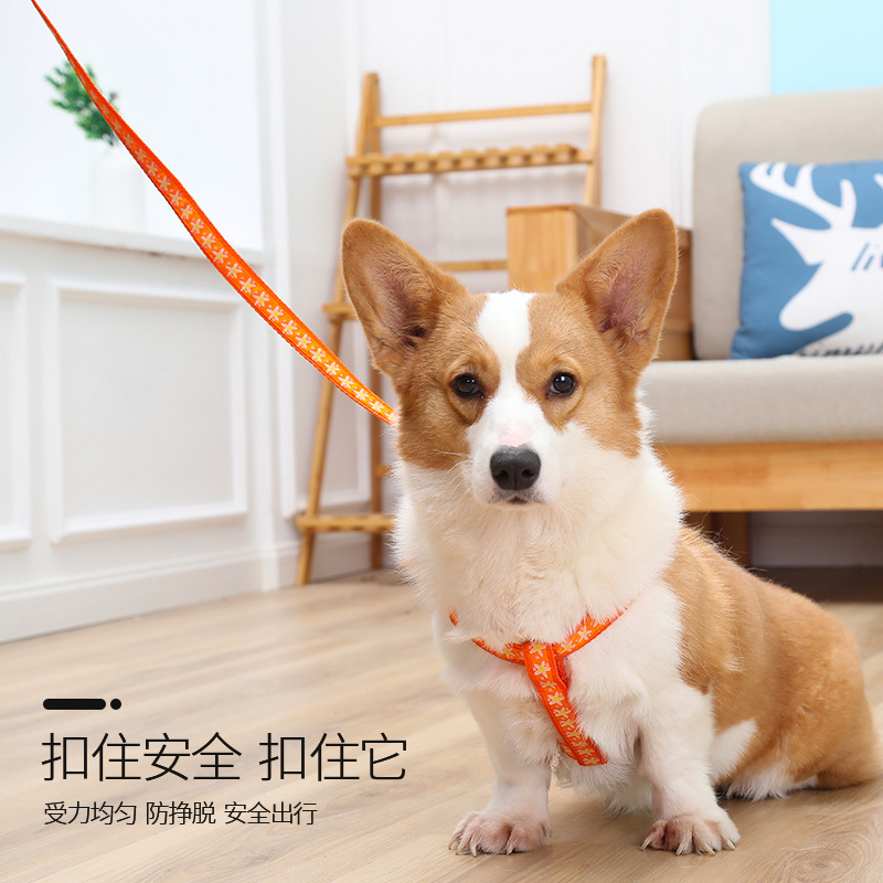 Cuerda de tracción para mascotas, correa para el pecho, pequeño y mediano Teddy Corgi, gato y perro paseando, juego de cuerda de tracción telescópica, impresión en forma de trabajo