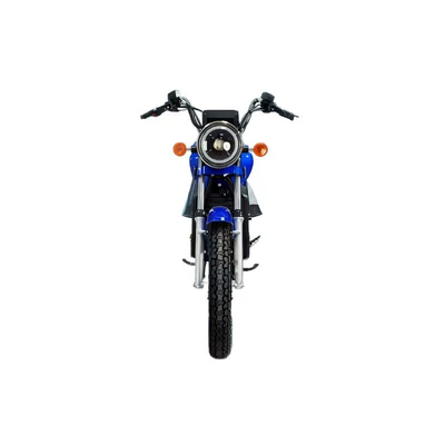 Two-Wheeled Electric Motorcycle, Elektrikli motosikletlər