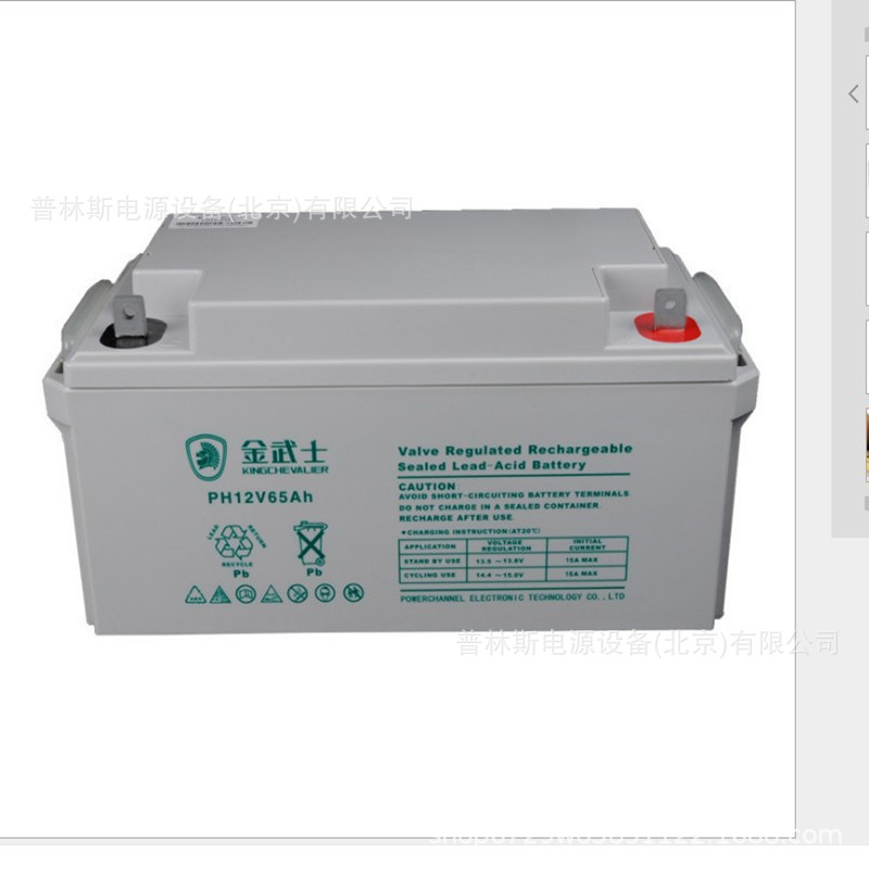金武士蓄电池PW65-12储能免维护蓄电池12V65AH电力系统光伏发电用