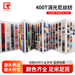 现货批发400T消光尼丝纺布料 秋冬新款防水防静电防污羽绒服面料