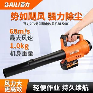 Baili 5401 Hair Dryer Lithium Battery Brushless 20V High Power Snow Blow Leaf Dust Blow Machine 4 Speed Adjustable