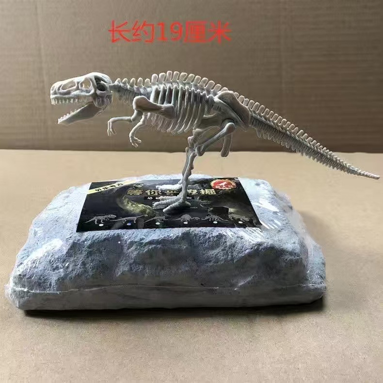 대형 뼈대 조립 공룡(틈새)