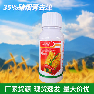 ����������ó�����35%����ݬȥ�����ǲ�ͪ���׻�¡�s�ݰ��]