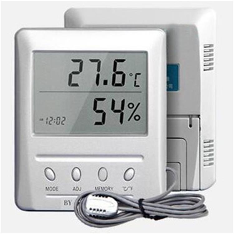 电子温湿度表/数显温湿度表 型号:WSB-2-H2 库号：M370749
