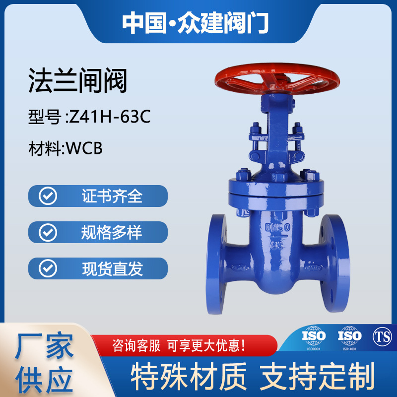 Z41Y-25C国标WCB碳钢法兰闸阀高温高压明杆闸阀钢制
