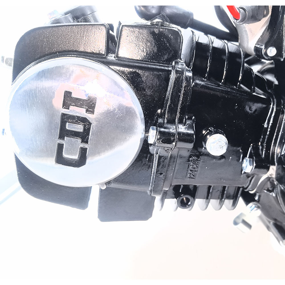 110Cc125Cc Engine Assembly for Atv Go-Kart, 3 Forward Gears with Reverse Gear 3+1, Black Aluminum Cylinder