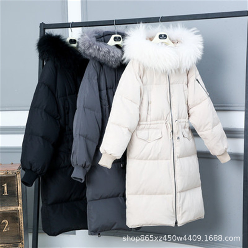 12793584947_762384599.400x400.