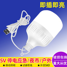 LED球泡灯 5V低压 USB球泡灯露营低压LED灯泡充电宝小夜灯USB灯泡