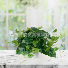 跨境人造绿植盆栽组合 桌面摆件牛至塑料盆栽绿萝龟背叶假树盆景