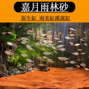 �Ꭷ��Ʒ����ɳ�~�׵�ɰ�����������������߲������쾰ɳ�~���쾰