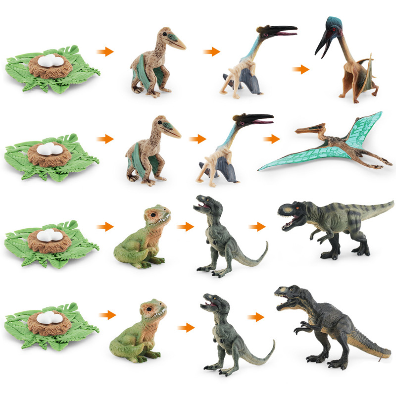 Simulación Jurásico dinosaurio modelo de ciclo de crecimiento rompecabezas cognitivo pterosaurus Tyrannosaurus proceso de crecimiento adornos estáticos