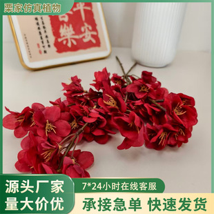 �F؛�����һ�֦��潁���һ����ϻ���c�b������[�������һ�