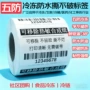 可移定制热卖热敏合成纸