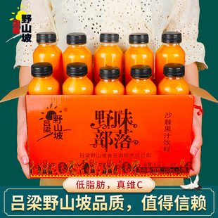 Ll Sea Buckthorn Juice Whole Box Bottled Rich in Vitamin C Juice Raw Fruit Raw Squeezed Sea Buckthorn Puree Shanxi Special