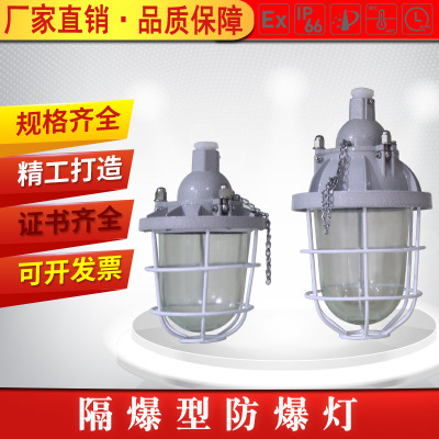 Flameproof explosion-proof 200 Supplied by major manufacturers BAD series Warehouse Factory building Lifting explosion-proof Lighting Shell