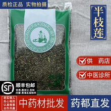 ������ș���Ј� ������؛��֦ɏҰ����֦�B 1000�����а׻������