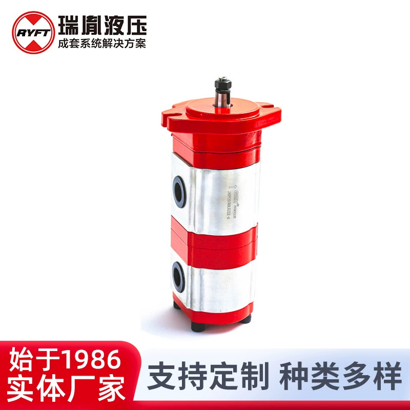 Производитель поставляет Rui Yi экскаватор инженерное оборудование гидравлические двухзубчатые насосы