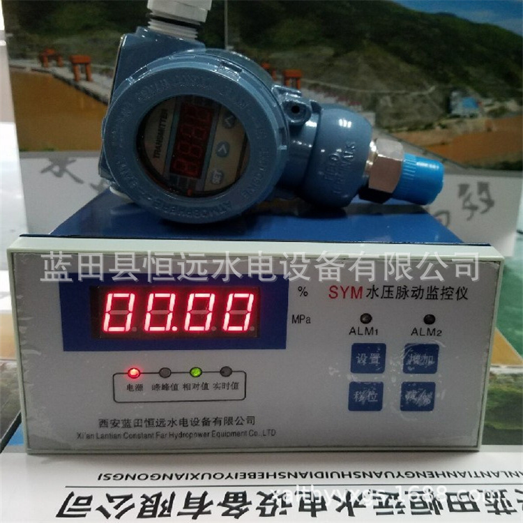 SYM水压脉动监测仪-恒远
