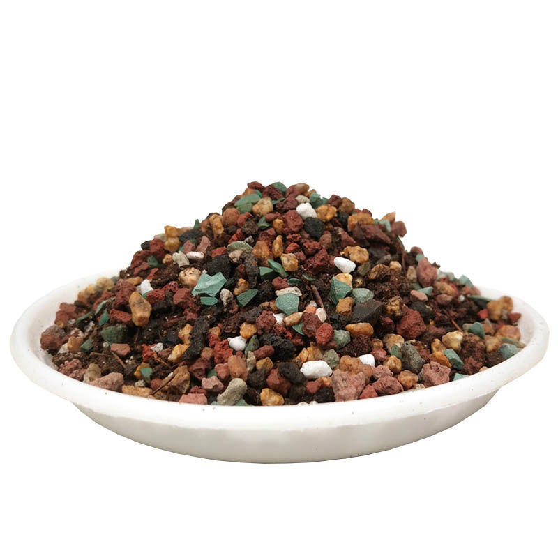 31a78313-6343-4d61-bba4-3ed51049137c.jpe