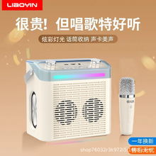 蓝牙音响户外便携式插卡迷你无线音响K歌麦克风话筒音箱一 体机