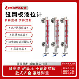 油箱油位磁性翻板液位计蒸汽锅炉磁翻板液位计插入式磁浮子液位计