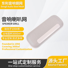专业音响钢网 精密冲孔防尘网罩 孔径厚度材料可定制音箱家用