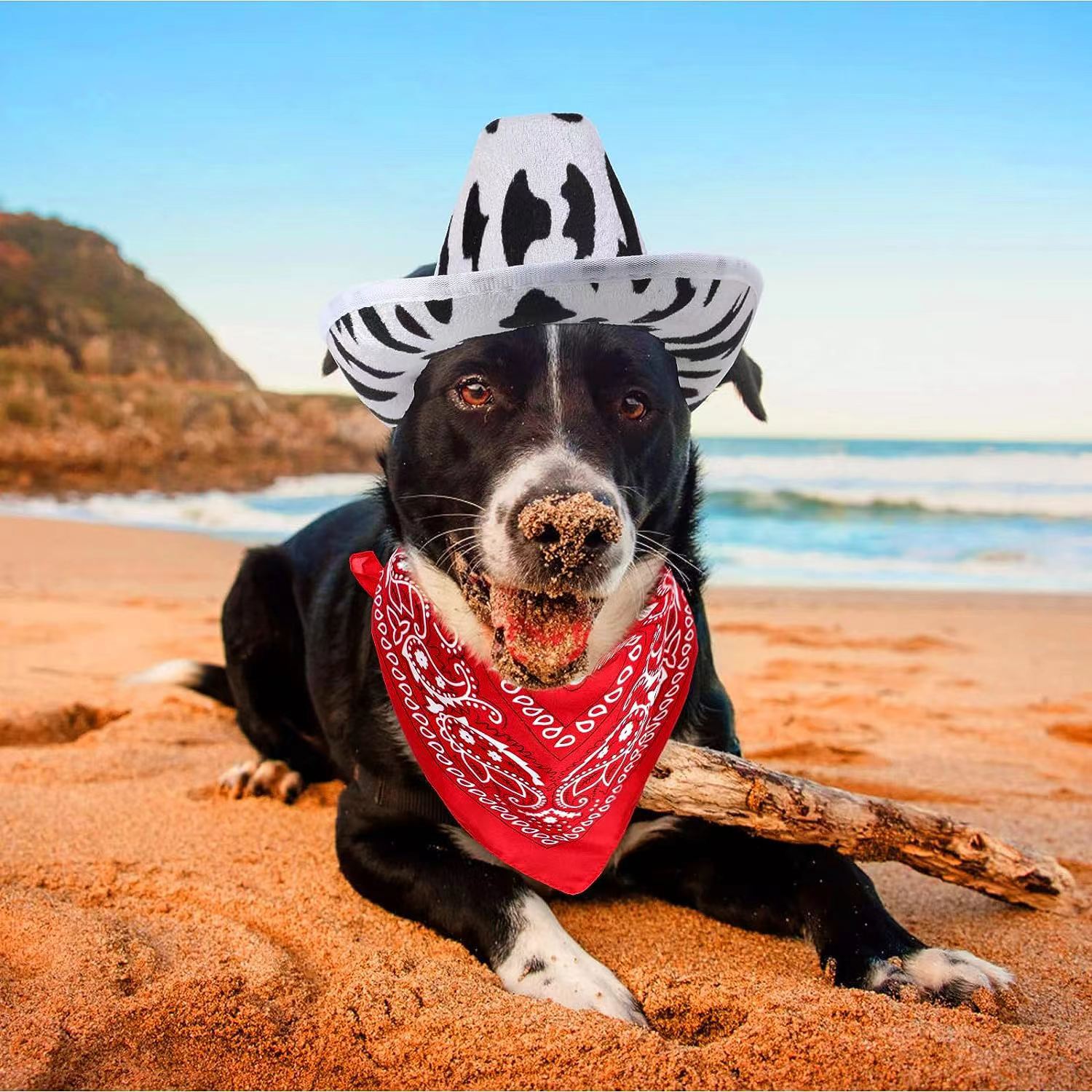 微信图片_20230827145809