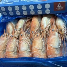 ̩���M���_���r ����_���r �_���r���l 10ֻ/�У�500g��ÿ��10��