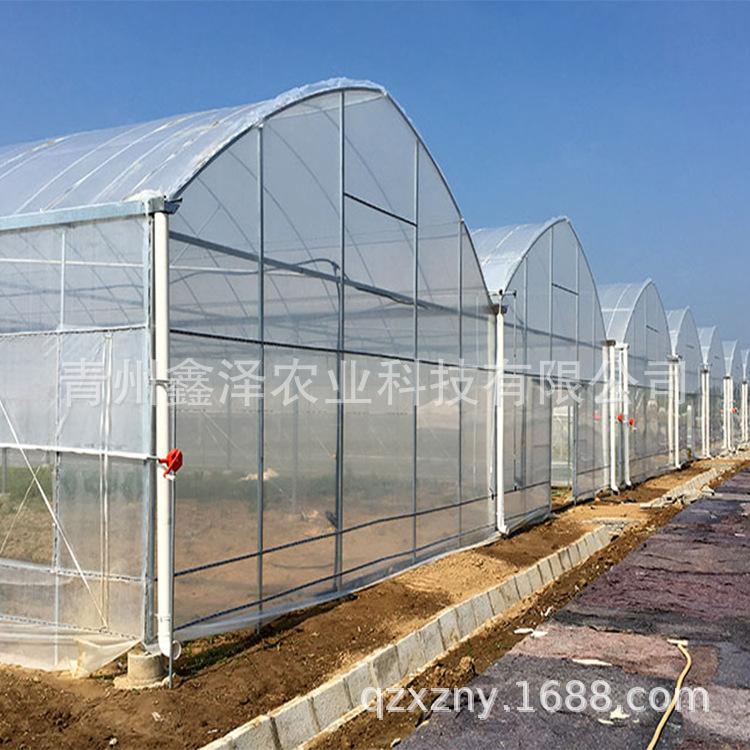 温室大棚 薄膜连体温室大棚 番茄连栋大棚 简易连栋大棚