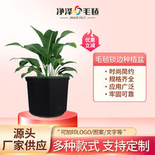 亚马逊毛毡锁边种植桶 加厚无纺布花卉番薯种植育苗袋植物种植桶