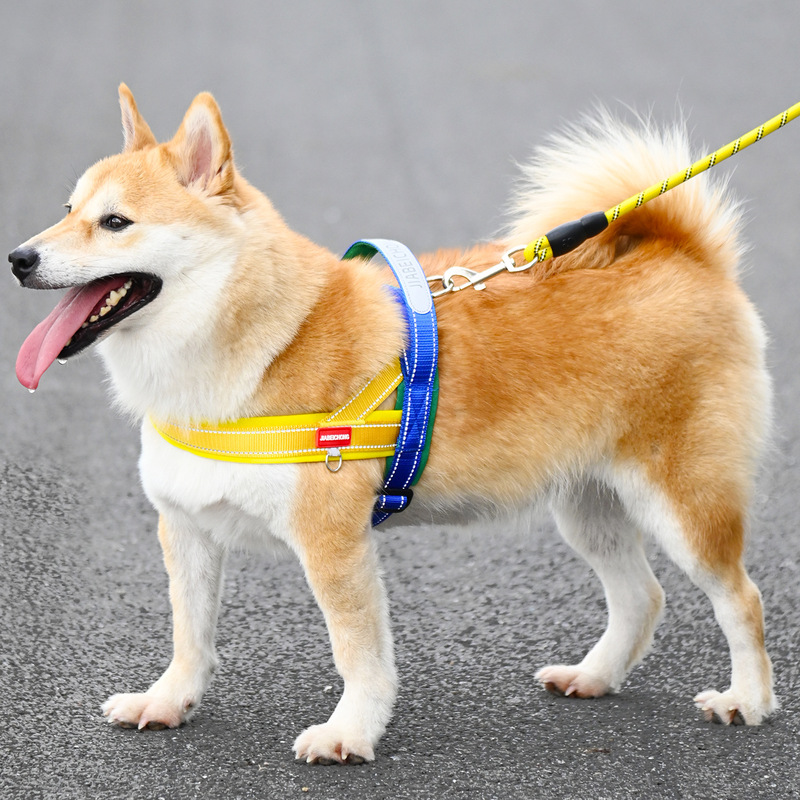 马鞍式狗狗牵引绳中小型犬比熊防挣脱遛狗绳泰迪宠物胸背带遛狗链|undefined