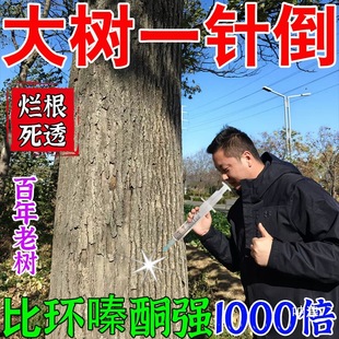 ��䠀��ș��������g����������ݹ�ľ���ӿݘ���