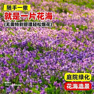 �ϻ��ض��N���ļ��Nֲ���Կ�ض��N��ͥԺ���N�Ӻû������׷N