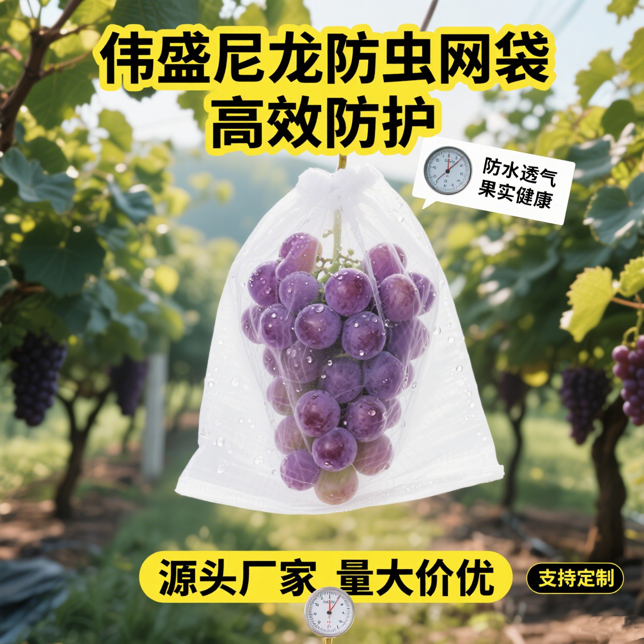 微信图片_20250624104855